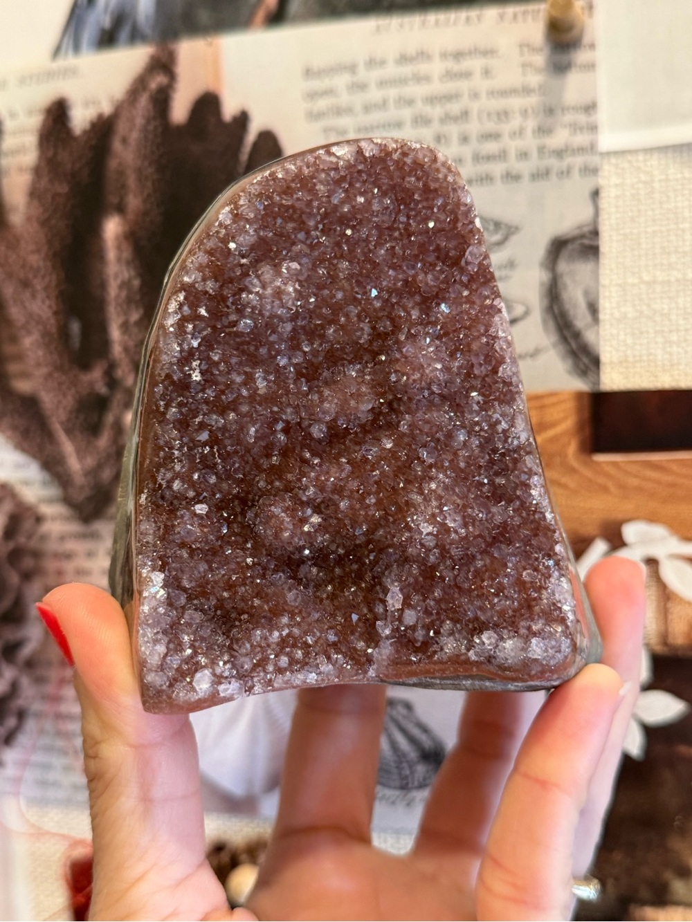 Natural sparkly Berry purple amethyst cut base specimen